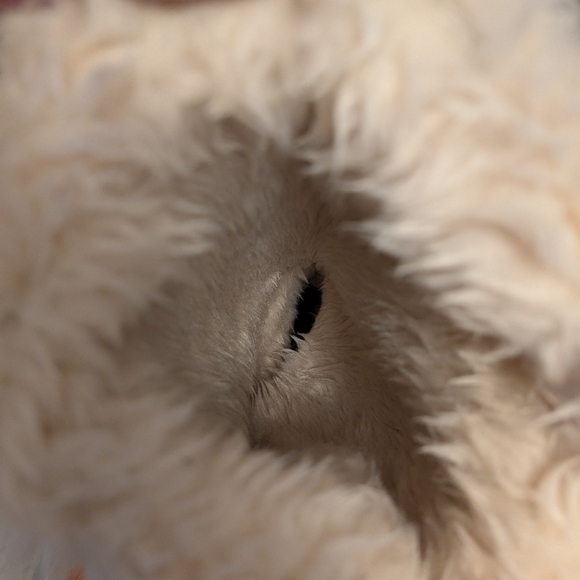 Dirty Laundry Rain Boots Size 9 - Picture 11 of 11